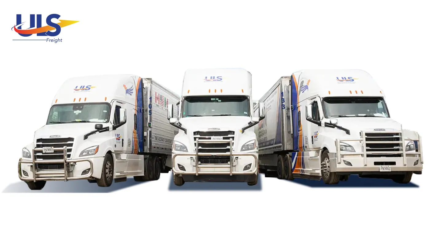 Right Cargo Forwarder