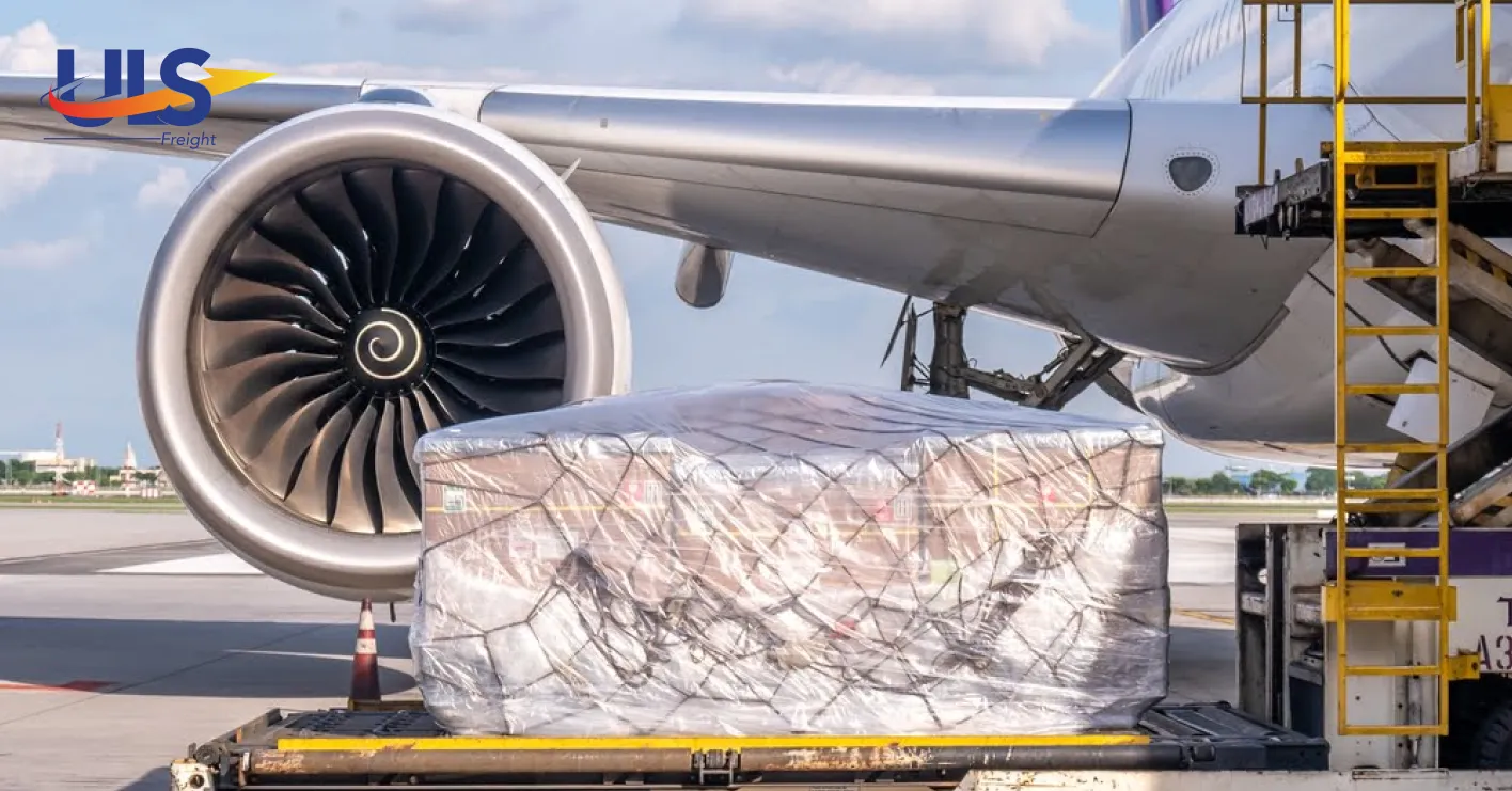 Cargo Freighter Aircraft